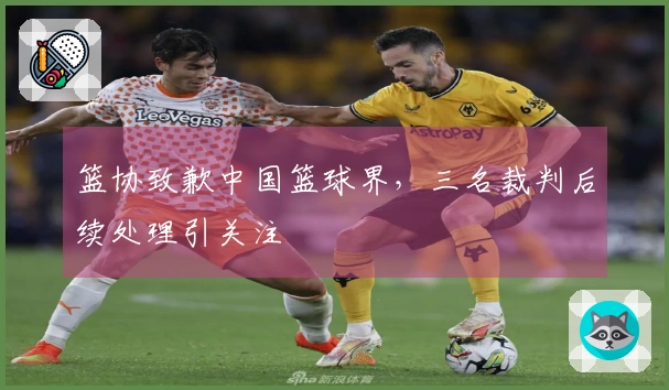 篮协致歉中国篮球界，三名裁判后续处理引关注