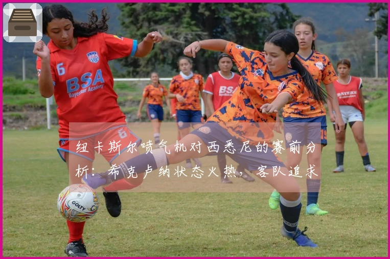 纽卡斯尔喷气机对西悉尼的赛前分析：希克卢纳状态火热，客队追求连胜